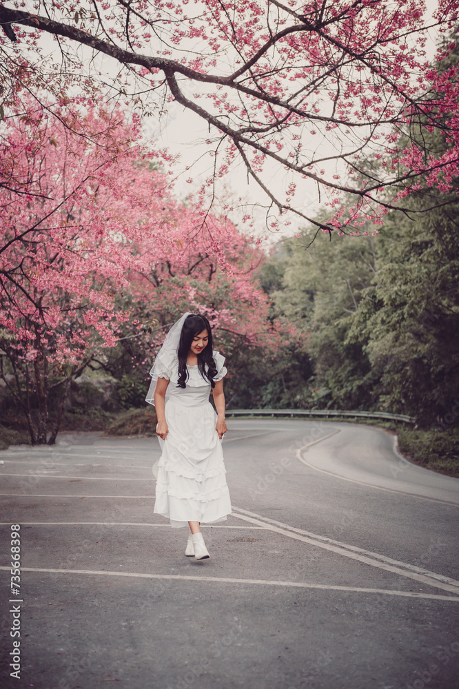 Fototapeta premium sakura flower and landscape