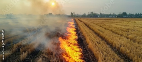 Intense fiery inferno blazing across rural grassland landscape at night
