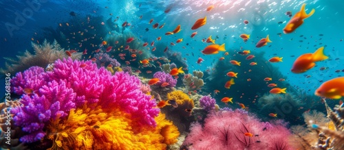 Vibrant and Colorful Coral Reef Teeming with Diverse Marine Fish Species