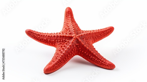A red sea star isolated on white background