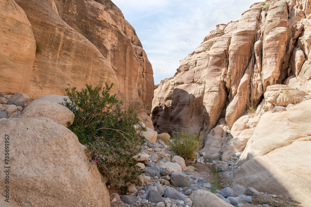 The beauty of nature at beginning of the tourist route of the gorge Wadi Al Ghuwayr or An Nakhil and the wadi Al Dathneh near Amman in Jordan The beauty of nature at beginning of the tourist route of the gorge Wadi Al Ghuwayr or An Nakhil and the wadi Al Dathneh near Amman in Jordan