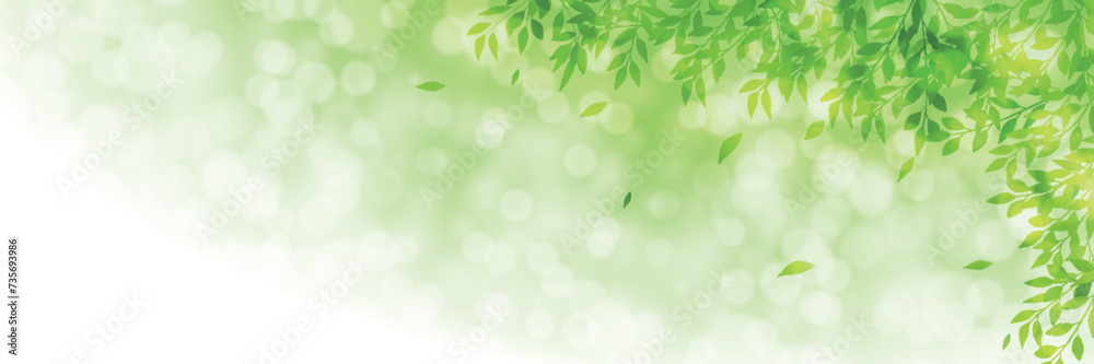 新緑 葉 風景 背景 新緑 葉 風景 背景