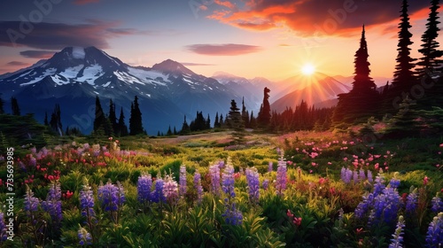 Sunny mountain landscape with fields of colorful wildflowers, dark pine trees, and distant mountain peaks. Stunning nature resembling like Alps #735693985