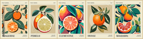 Set of abstract Fruit Market retro posters. Trendy kitchen gallery wall art with citrus fruits - orange, pomelo, mandarin, tangerine, clementine. Modern groovy interior paintings. Vector illustration. photo