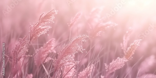Pink pastel background with florals, delicate hues caressing the senses like a gentle breeze, soothing and tranquil.