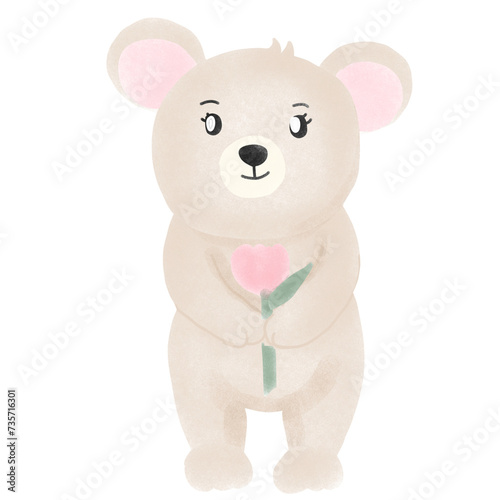 pink teddy bear