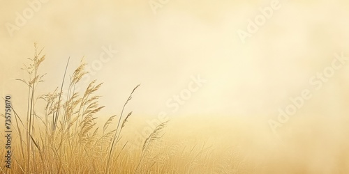 Soft gold and beige Kraft Paper texture background with light  subtle hues  tranquil and calming aesthetic