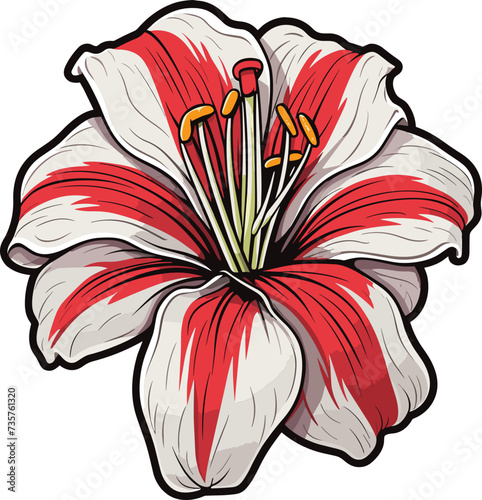 Amarylis flower clipart design illustration