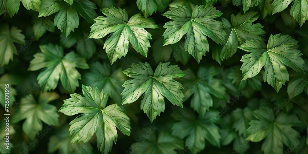 green leaves background green leaves background