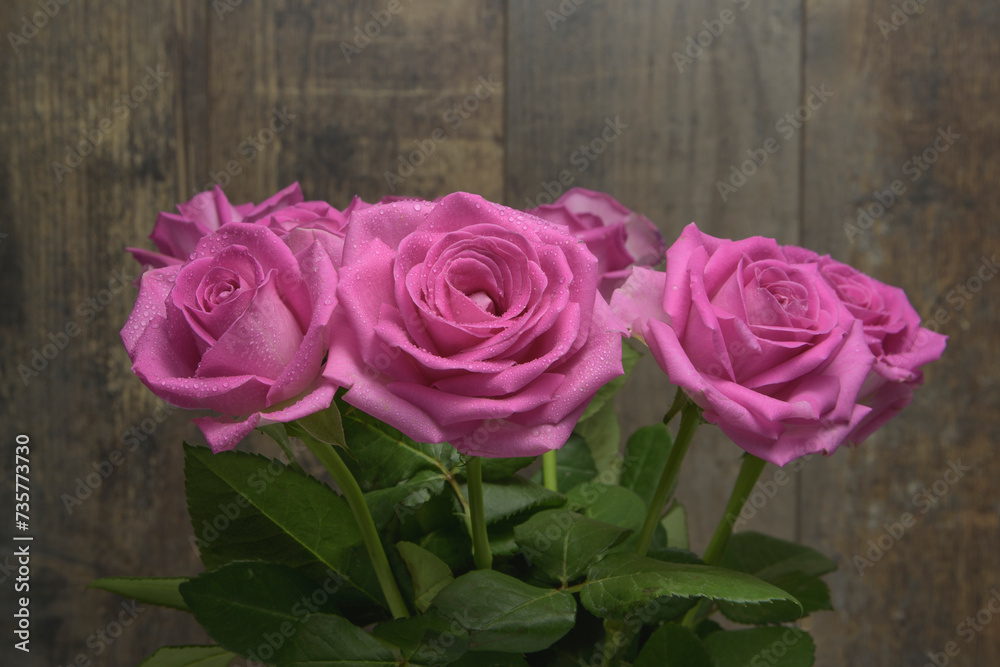 Close-up of pink roses on a textured dark wood background
