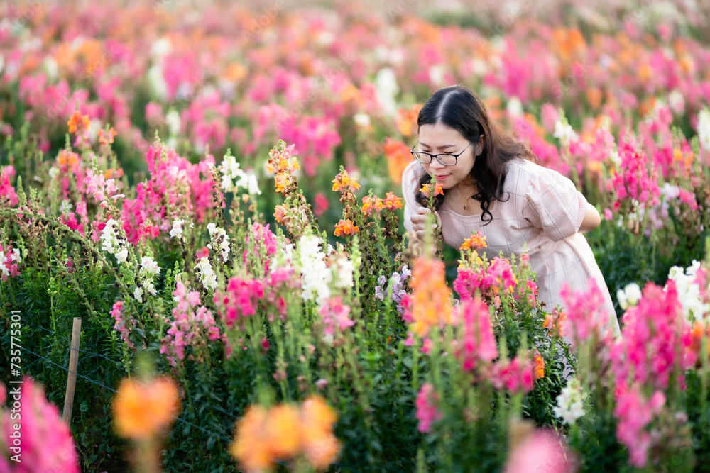 Portrait of asian Young woman happy traveler with white dress enjoying in white blooming or purple Michaelmas Daisy flower field in the nature garden of in Chiang Mai,Thailand,travel relax vacation Portrait of asian Young woman happy traveler with white dress enjoying in white blooming or purple Michaelmas Daisy flower field in the nature garden of in Chiang Mai,Thailand,travel relax vacation