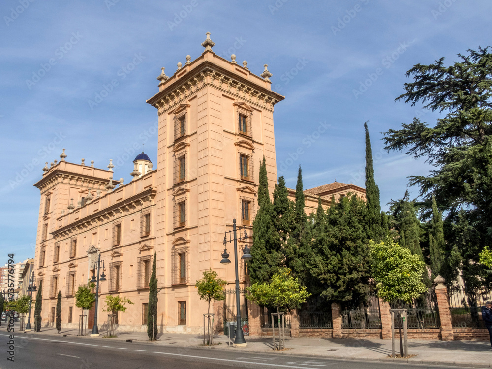 Museum of Fine Arts of Valencia. The building was the school of San Pío (17th-18th centuries). Spain.