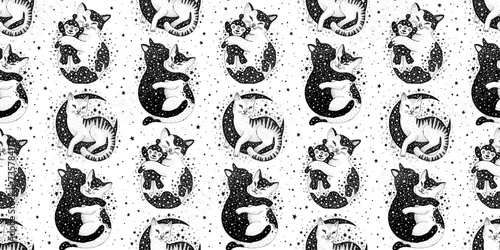Space cats seamless background. Universe pattern with star, cute pet, night celestial element. Seamless illustration of witch animal, magic kitty. Halloween psychedelic vintage print. Cat pattern
