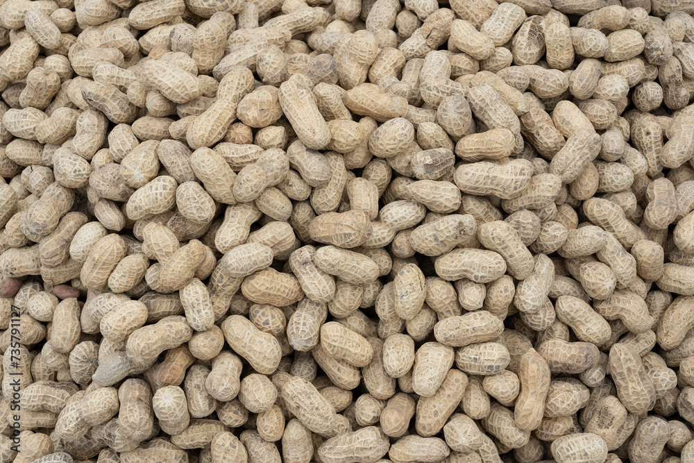 Peanuts in shells on the background of sack cloth. Peanuts in shells on the background of sack cloth.