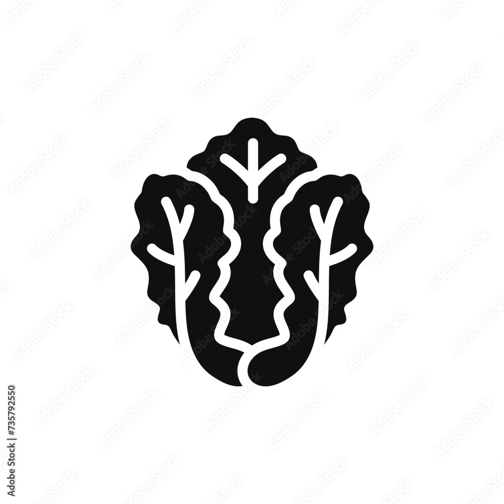 Lettuce icon isolated on transparent background Lettuce icon isolated on transparent background