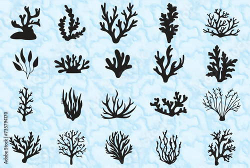 Set of isolated corals and algae in editable vector format. Underwater flora, fauna and seaweeds. Coral reef underwater plants. Aquarium alga set, ocean water plants, sea starfish residence. eps 10