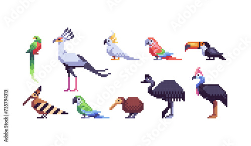 Exotic tropical birds pixel art set. Jungle fauna collection. 8 bit. Game development, mobile app. Isolated vector illustration. Cross stitch pattern.