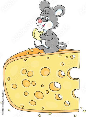 Funny grey little mouse at breakfast nibbling a big piece of very tasty cheese in a pantry, vector cartoon illustration on white