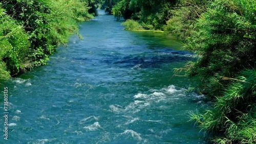 River flow in forest with mesmerizing view 4k 