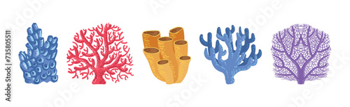 Colorful Reef Coral and Marine Hydranths Vector Set