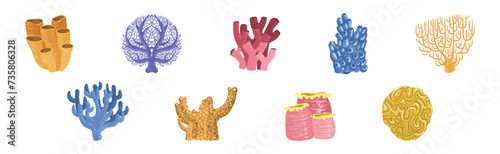 Colorful Reef Coral and Marine Hydranths Vector Set