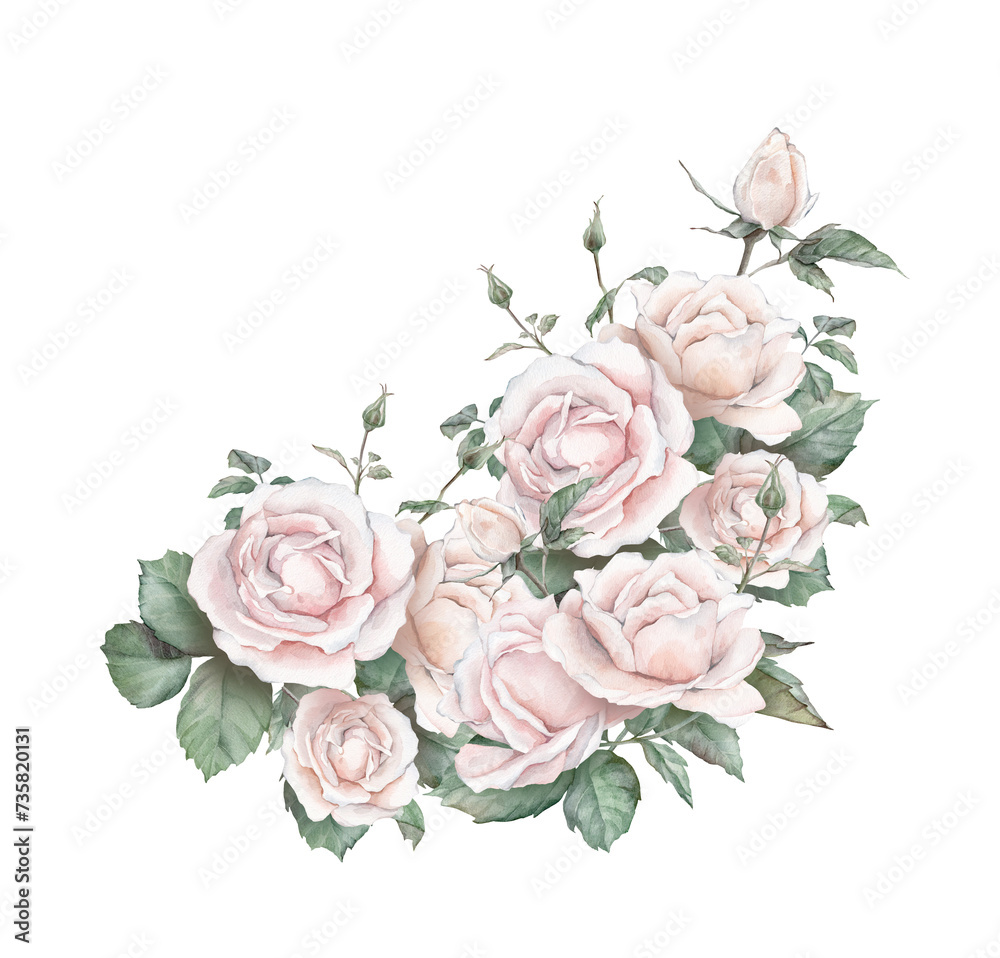 Cream Roses Watercolour Background Watercolor invitation design with light cream roses and leaves ...