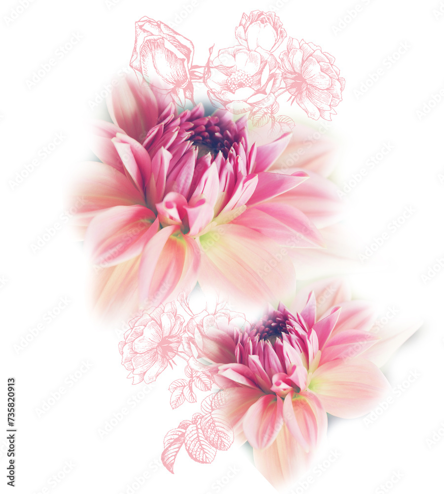 Fototapeta premium Floral designs on a white ground 