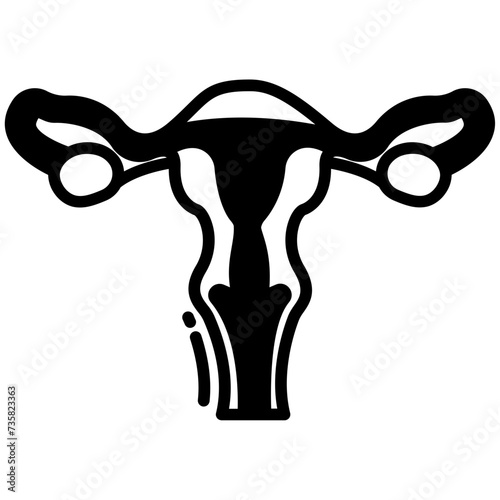 Reproductive system glyph and line vector illustration