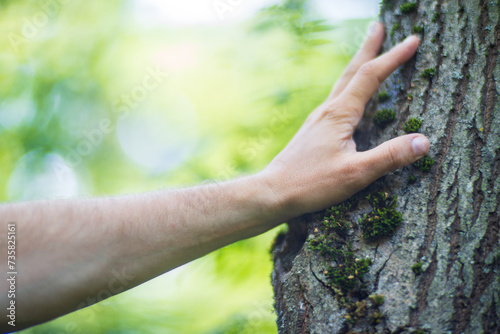 A man's hand touch the tree trunk close-up. Bark wood. Caring for the environment. The ecology concept of saving the world and love nature by human © shaploff
