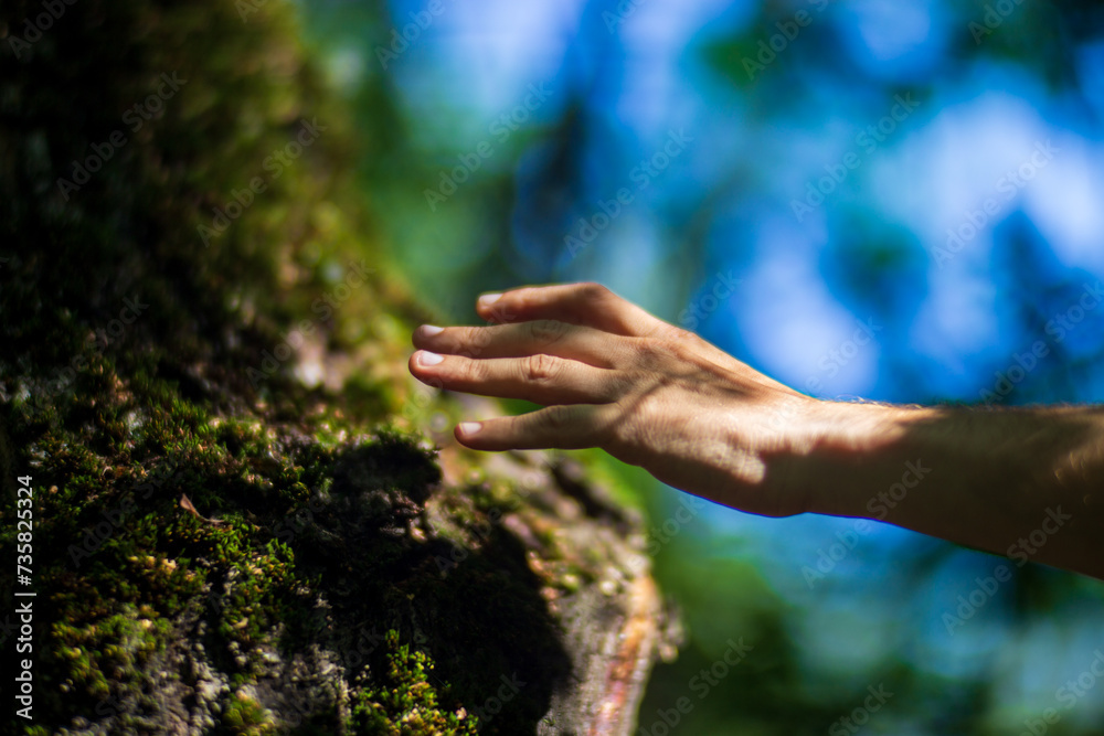 A man's hand touch the tree trunk close-up. Bark wood. Caring for the environment. The ecology concept of saving the world and love nature by human