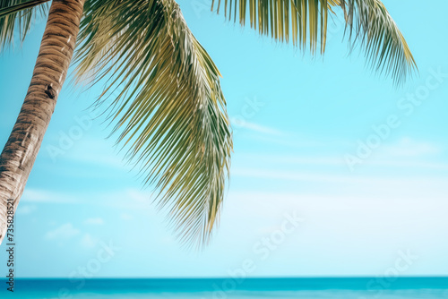 coconut tree on sea in morning light summer.