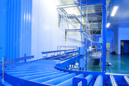 Equipment on chicken farm. Modern meat farm. Conveyor line, new equipment, nobody, ultraviolet light