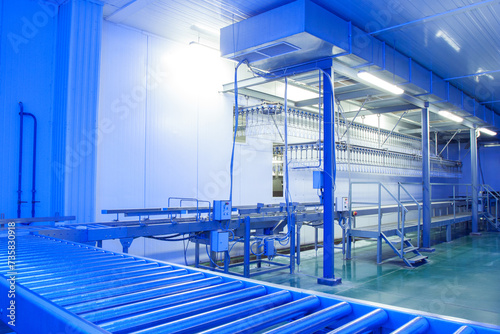 Equipment on chicken farm. Modern meat farm. Conveyor line, new equipment, nobody, ultraviolet light