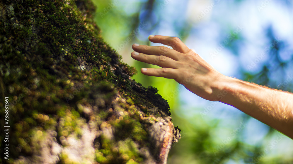 A man's hand touch the tree trunk close-up. Bark wood. Caring for the environment. The ecology concept of saving the world and love nature by human A man's hand touch the tree trunk close-up. Bark wood. Caring for the environment. The ecology concept of saving the world and love nature by human