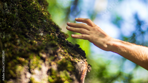 A man's hand touch the tree trunk close-up. Bark wood. Caring for the environment. The ecology concept of saving the world and love nature by human © shaploff