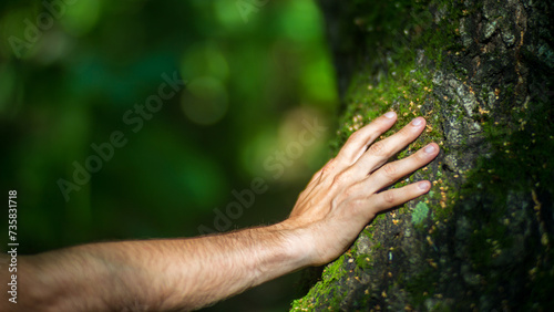 A man's hand touch the tree trunk close-up. Bark wood. Caring for the environment. The ecology concept of saving the world and love nature by human