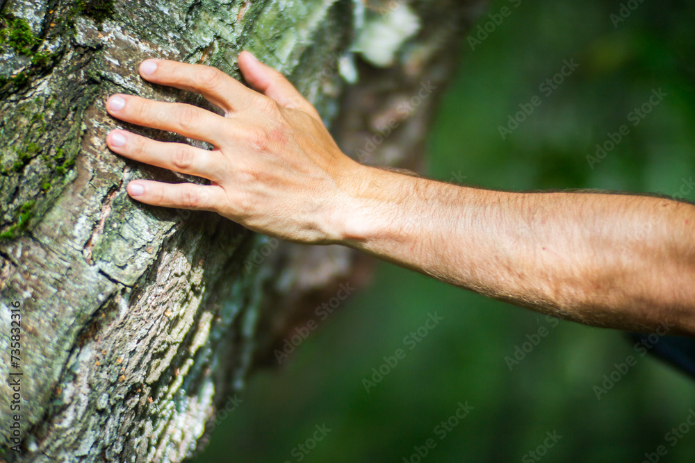 A man's hand touch the tree trunk close-up. Bark wood.Caring for the environment. The ecology concept of saving the world and love nature by human