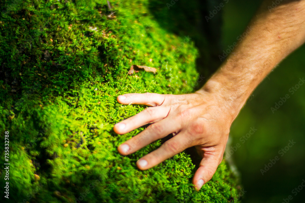 A man's hand touch the tree trunk close-up. Bark wood.Caring for the environment. The ecology concept of saving the world and love nature by human