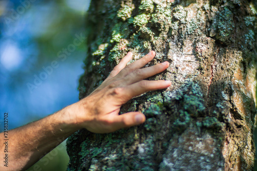 A man's hand touch the tree trunk close-up. Bark wood.Caring for the environment. The ecology concept of saving the world and love nature by human