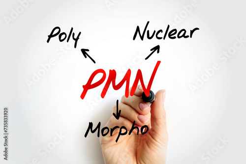 PMN PolyMorphoNuclear - having a nucleus with several lobes and a cytoplasm that contains granules, as in an eosinophil or basophil, acronym text concept background photo