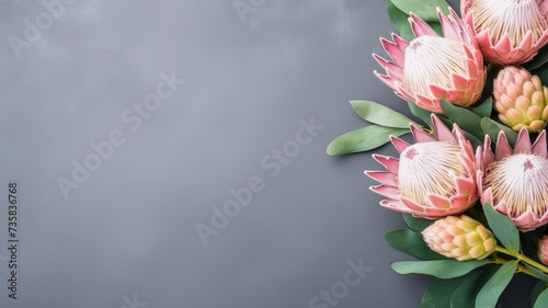 composition of a bouquet of protea flowers, top view with copy space on a gray background