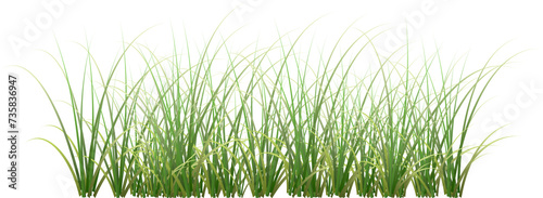 grass clipart. grass png © Cyudeshbuhu