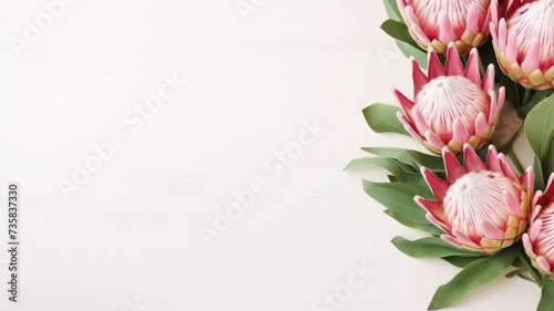 composition of a bouquet of protea flowers, top view with copy space on a white background