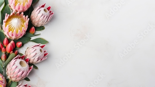 composition of a bouquet of protea flowers, top view with copy space on a white background