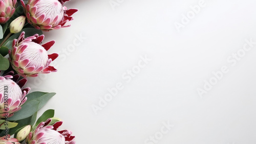composition of a bouquet of protea flowers, top view with copy space on a white background