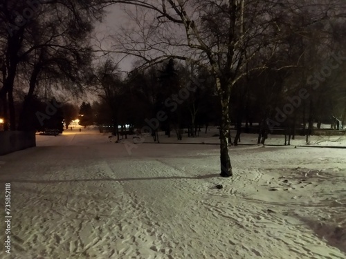 snow park at night
