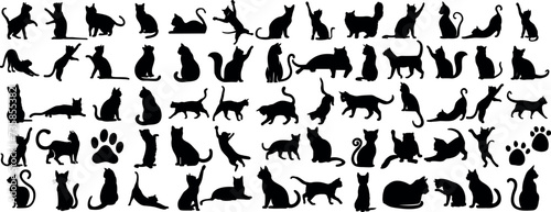 playful cat silhouette in various poses. cat vector are Perfect for pet themed vector illustrations. Captures the essence of feline behavior and movement