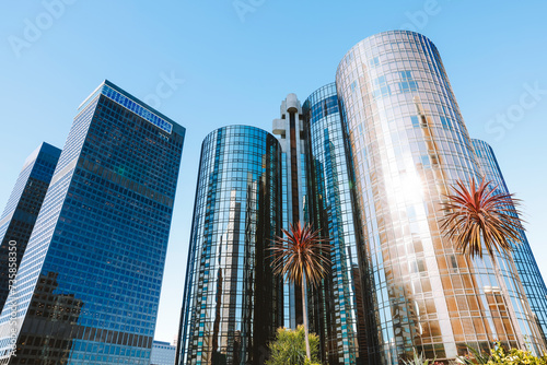 Palm Trees And Glass Buildings Reflecting Beautifully in the Sky of Downtown, Los Angeles