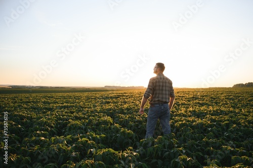 Agronomist inspecting soya bean crops growing in the farm field. Agriculture production concept. young agronomist examines soybean crop on field in summer. Farmer on soybean field © Serhii