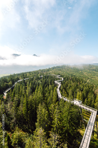 Wooden Stair through the Natural park. Adventure, travel, sport, active life. 